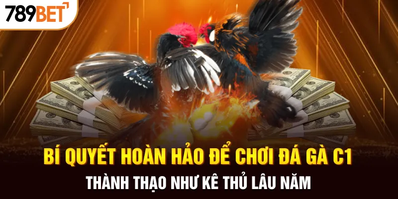 Bí quyết hoàn hảo để chơi đá gà C1 thành thạo như kê thủ lâu năm