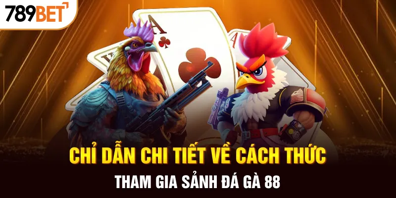 Chỉ dẫn chi tiết về cách thức tham gia sảnh đá gà 88