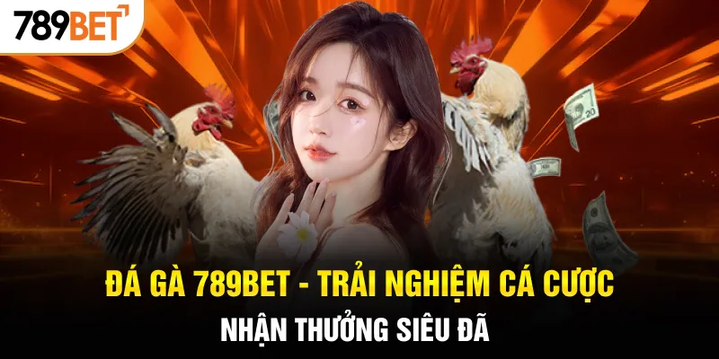 Trải nghiệm sảnh cược đá gà 789bet chất lượng cao