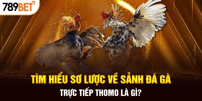 Tìm hiểu sơ lược về sảnh đá gà trực tiếp Thomo là gì?