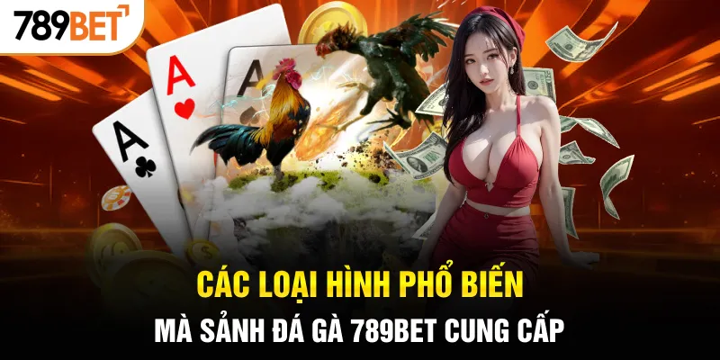 Các loại hình phổ biến mà sảnh đá gà 789BET cung cấp