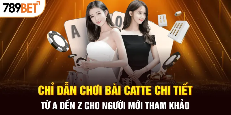 Chỉ dẫn chơi bài catte chi tiết từ A đến Z cho người mới tham khảo