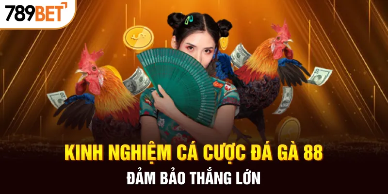 Kinh nghiệm cá cược đá gà 88 đảm bảo thắng lớn