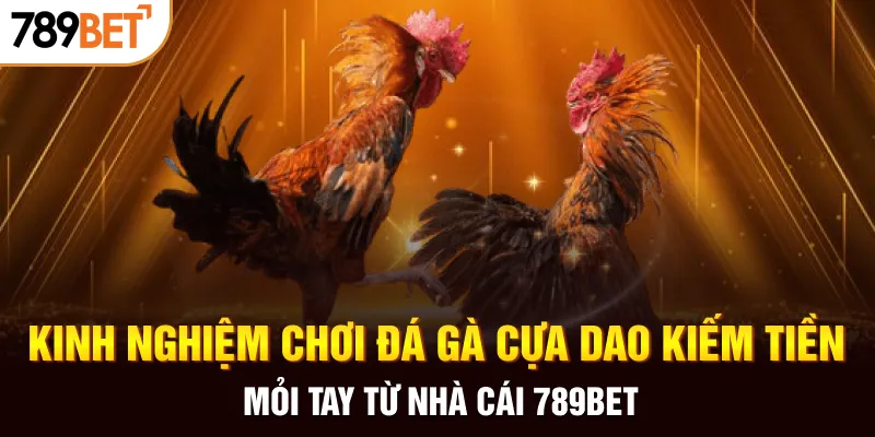 Kinh nghiệm chơi đá gà cựa dao kiếm tiền mỏi tay từ nhà cái 789BET