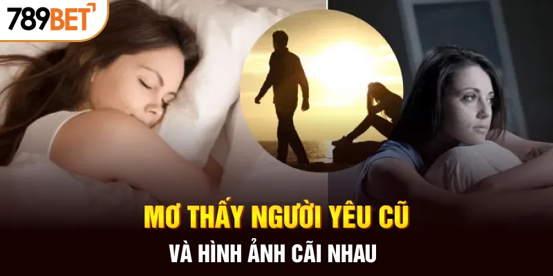 Mơ thấy người yêu cũ và hình ảnh cãi nhau