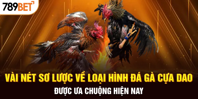 Vài nét sơ lược về loại hình đá gà cựa dao được ưa chuộng hiện nay