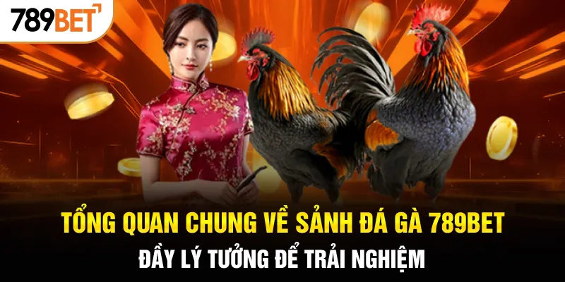 Tổng quan chung về sảnh đá gà 789BET đầy lý tưởng để trải nghiệm