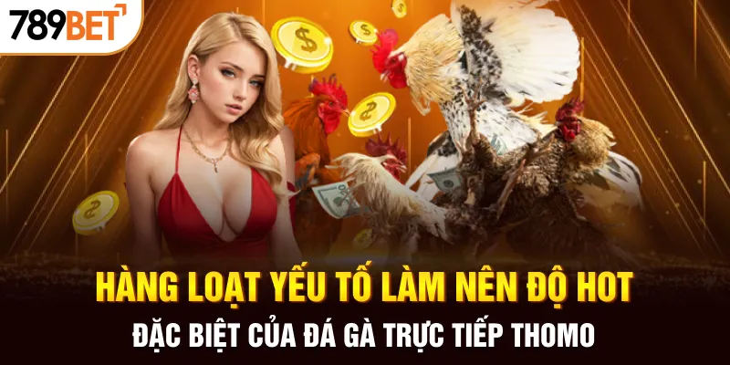 Hàng loạt yếu tố làm nên độ hot đặc biệt của đá gà trực tiếp Thomo